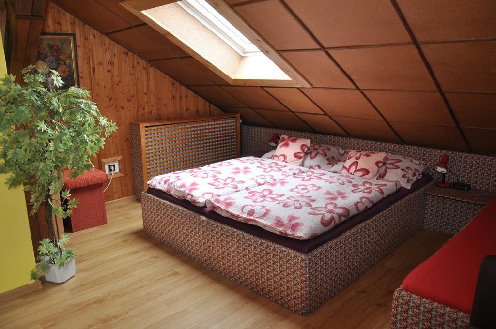 Pension Nika Český Krumlov Εξωτερικό φωτογραφία