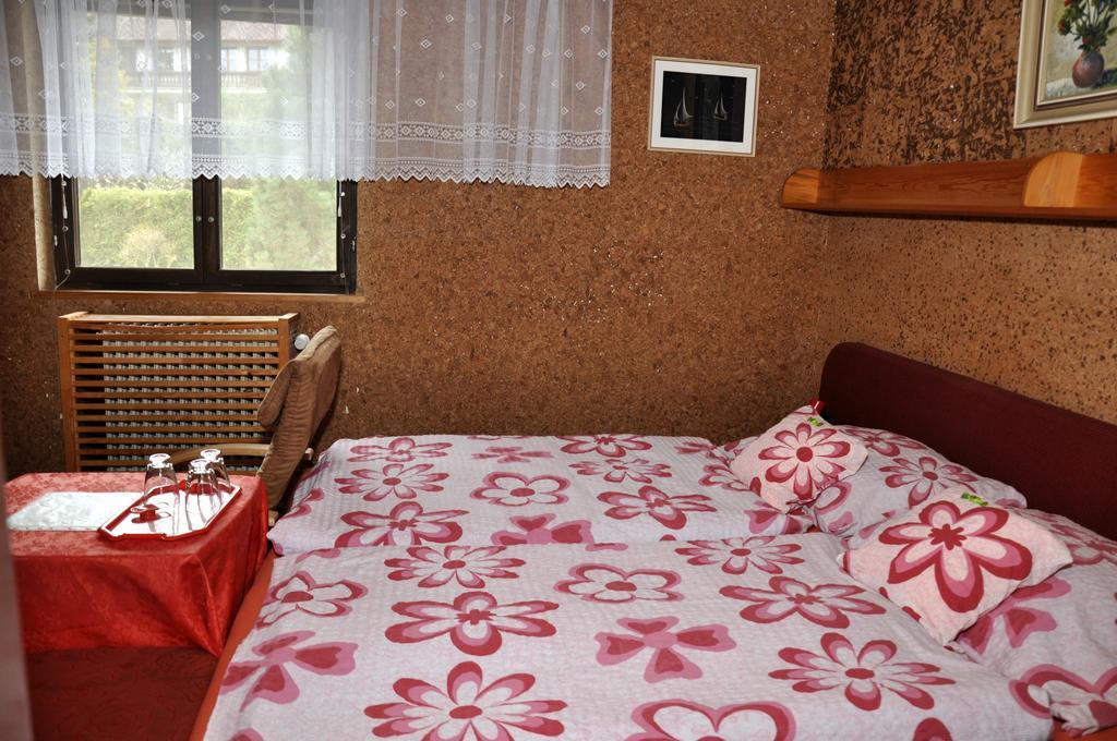 Pension Nika Český Krumlov Εξωτερικό φωτογραφία